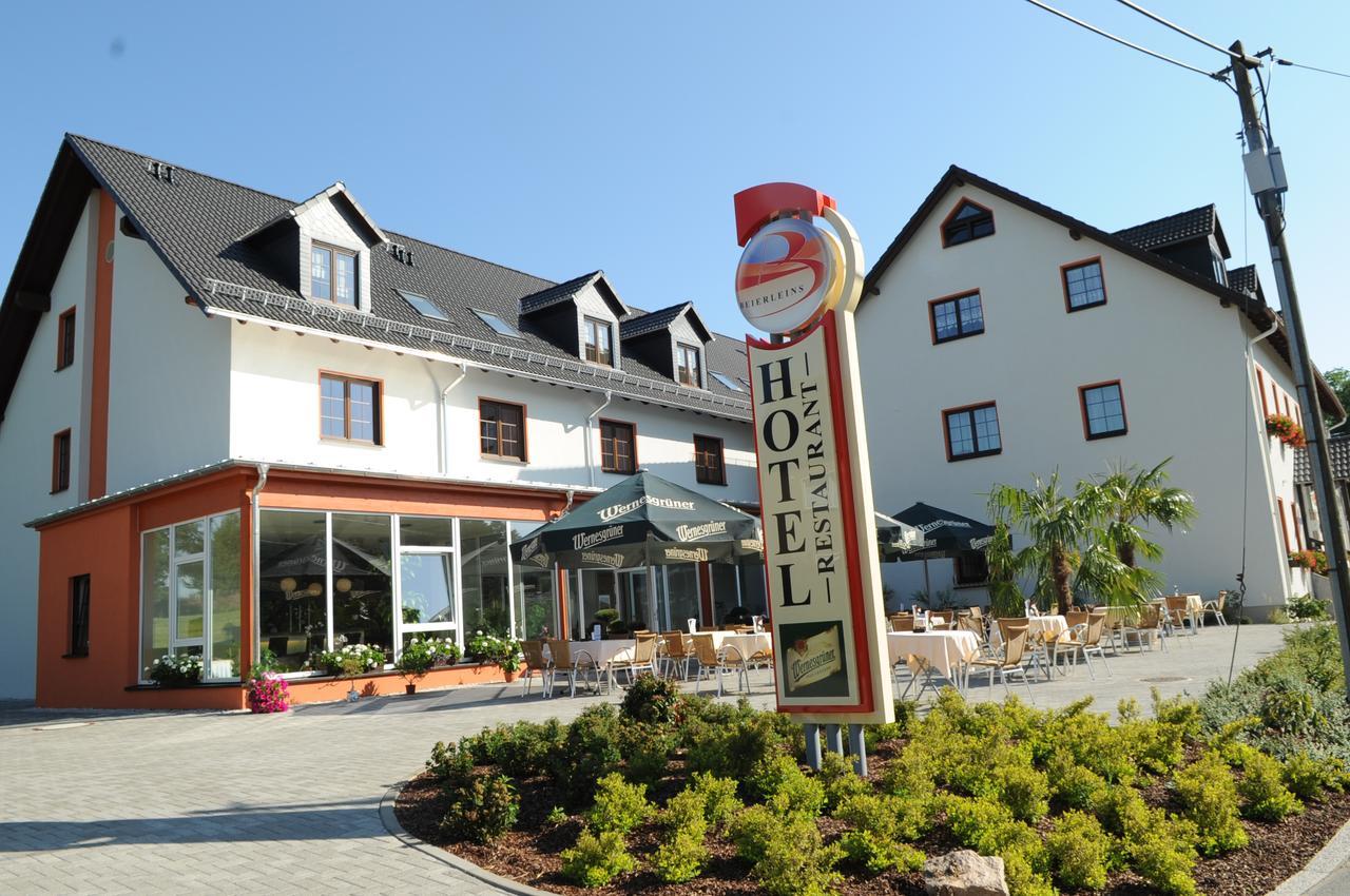 Beierleins Hotel & Catering Gmbh Reichenbach  Екстериор снимка